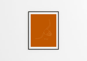 #1002 Hook 'em Fine Art Print